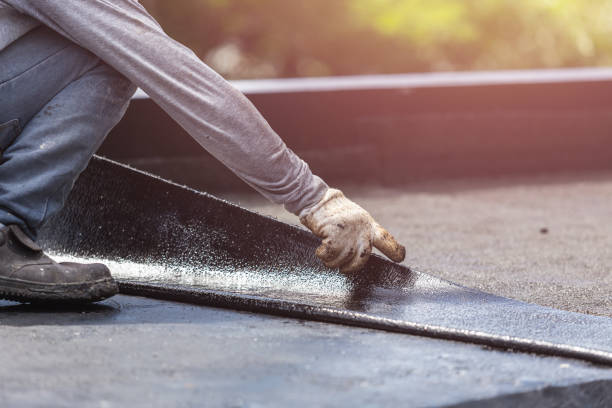 Professional Basement Waterproofing technician working in Oglethorpe, GA